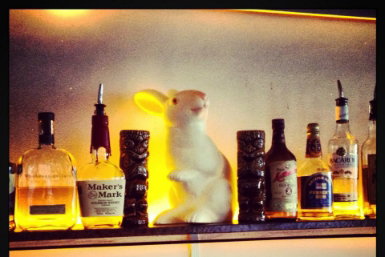 Hairy Canary - Newcastle Accommodation 0