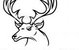 Bald Faced Stag - thumb 0