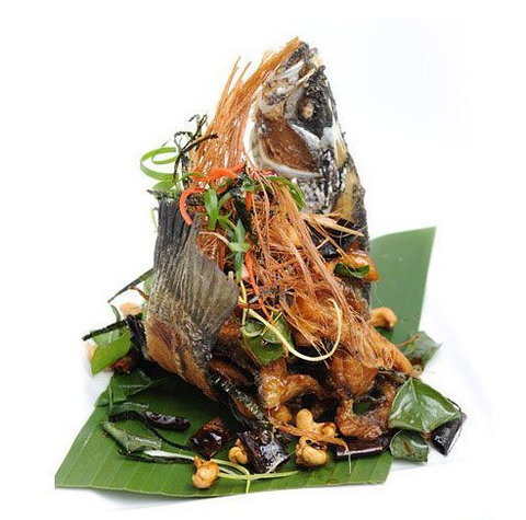 Chilli Cha Cha - New Castle Tourism 3