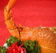 Marigold - New Castle Tourism