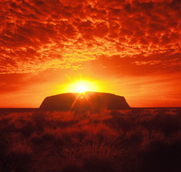 Annie's Place - Newcastle Accommodation