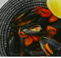 The Italian Diner - Newcastle Accommodation