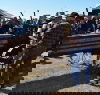 19th Annual Old Wheels In Motion Rally - New Castle Tourism