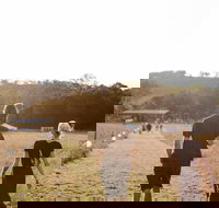 Arcadia - Newcastle Accommodation