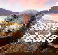 Art Group Longford - Newcastle Accommodation