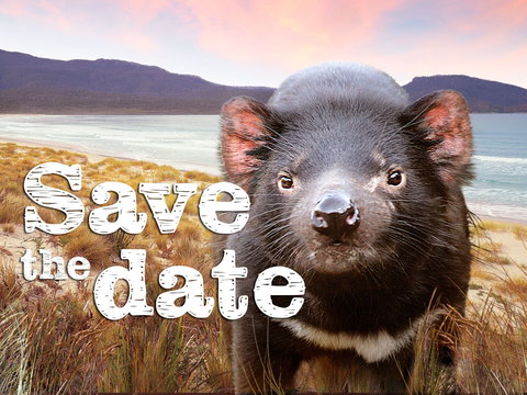 Art Group Longford - Newcastle Accommodation 0