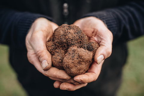 A Taste Of Truffles - New Castle Tourism 0