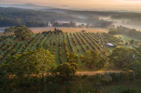 A Taste Of Truffles - New Castle Tourism 1