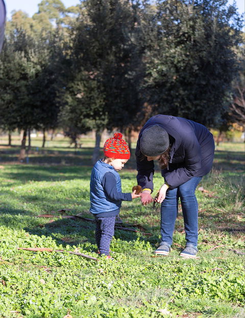 A Taste Of Truffles - New Castle Tourism 2