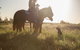 Balonne Cutting Horse Futurity - thumb 0