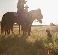 Balonne Cutting Horse Futurity - Newcastle Accommodation