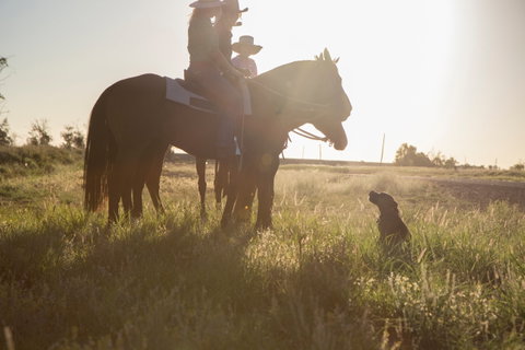 Balonne Cutting Horse Futurity - Newcastle Accommodation 0