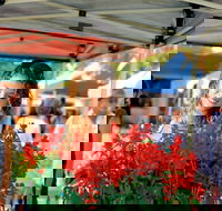 Ballina Missingham Farmers Market - Newcastle Accommodation