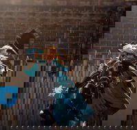 Baroque Horse Festival - Newcastle Accommodation