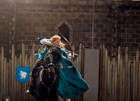 Baroque Horse Festival - New Castle Tourism 0