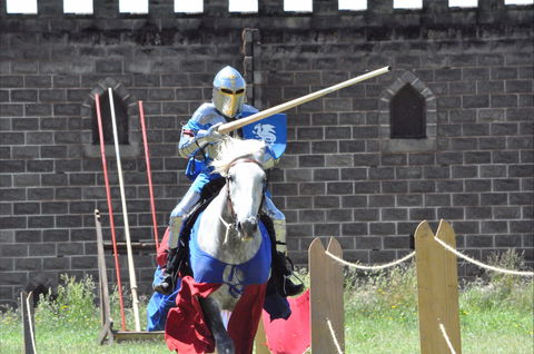Baroque Horse Festival - New Castle Tourism 1