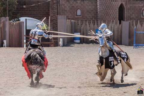 Baroque Horse Festival - New Castle Tourism 2