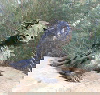 Bathurst Arts Trail - New Castle Tourism