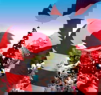 Blacktown Christmas Light Up Concert - Newcastle Accommodation