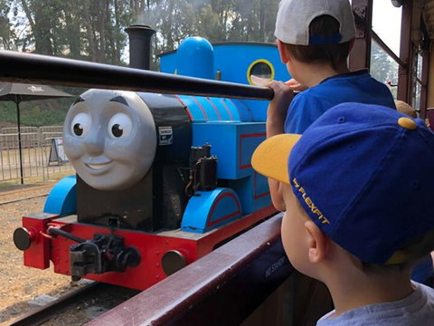 Day Out With Thomas At Puffing Billy - Newcastle Accommodation 1