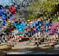 Duval Dam Buster Trail Run - Newcastle Accommodation