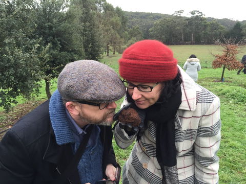 Feast And Forage - Craig's Royal Hotel - New Castle Tourism 1