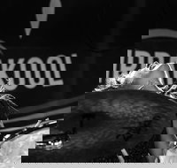 Girrakool Blues Festival and Barbecue - Newcastle Accommodation