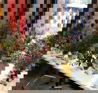 Grampians Wildflower Show - Newcastle Accommodation