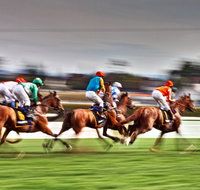 Grafton July Racing Carnival - Newcastle Accommodation