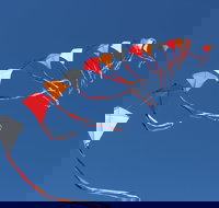 Harden Kite Festival - Newcastle Accommodation