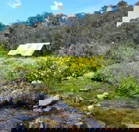 Hedonistic Hiking's Falls Creek to Hotham - Newcastle Accommodation