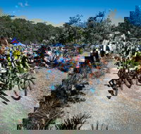 JetBlack Wild Wombat MTB Challenge - Newcastle Accommodation