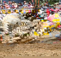 Jindabyne's Man From Snowy River Rodeo - New Castle Tourism