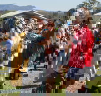 Lovedale Long Lunch - New Castle Tourism