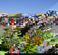 Maclean Community Monthly Markets - New Castle Tourism