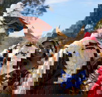 Newbridge Winter Solstice Festival - New Castle Tourism