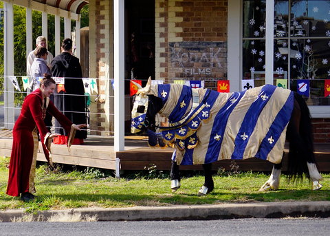 Newbridge Winter Solstice Festival - New Castle Tourism 2