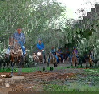 Night Horse Ride and Dinner - Newcastle Accommodation