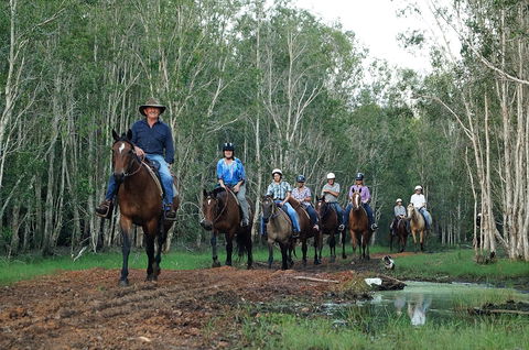 Night Horse Ride And Dinner - Newcastle Accommodation 0