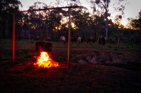 Night Horse Ride And Dinner - Newcastle Accommodation 2