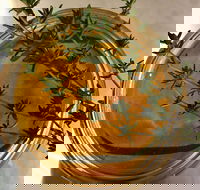 Online live streaming class DIY Skincare Products - New Castle Tourism