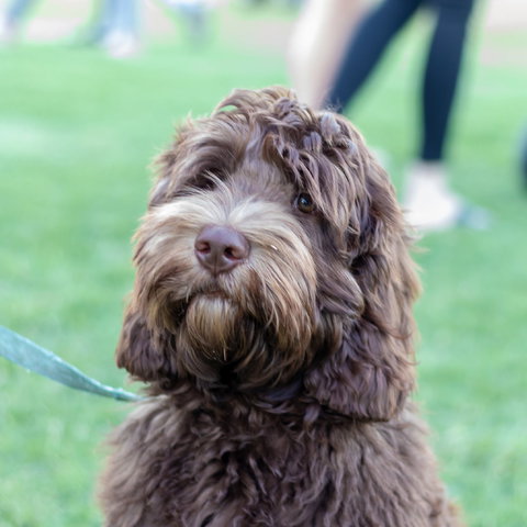 Ripley Markets - Newcastle Accommodation 1