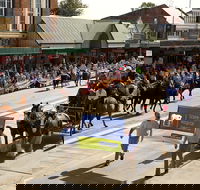 Scone Horse Festival - New Castle Tourism