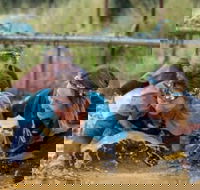 Suck It Up Buttercup Vikings Obstacle Course - Newcastle Accommodation