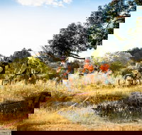 The Beverley Heroic - Newcastle Accommodation