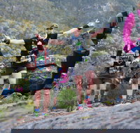 Wonderland Run - Newcastle Accommodation