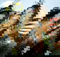 Albury Racing Club January Race Day - Newcastle Accommodation