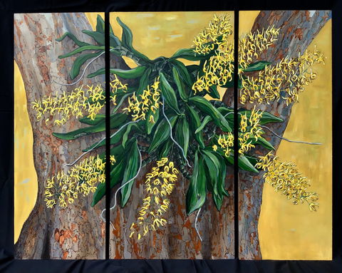 A Still Life - Solo Exhibition  Karen Sedaitis - New Castle Tourism 1