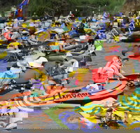 Australia Day Celebrations Gunnedah - Newcastle Accommodation