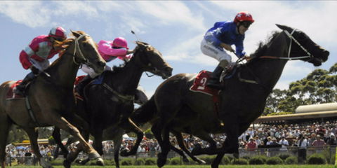 Batemans Bay Cup - New Castle Tourism 0